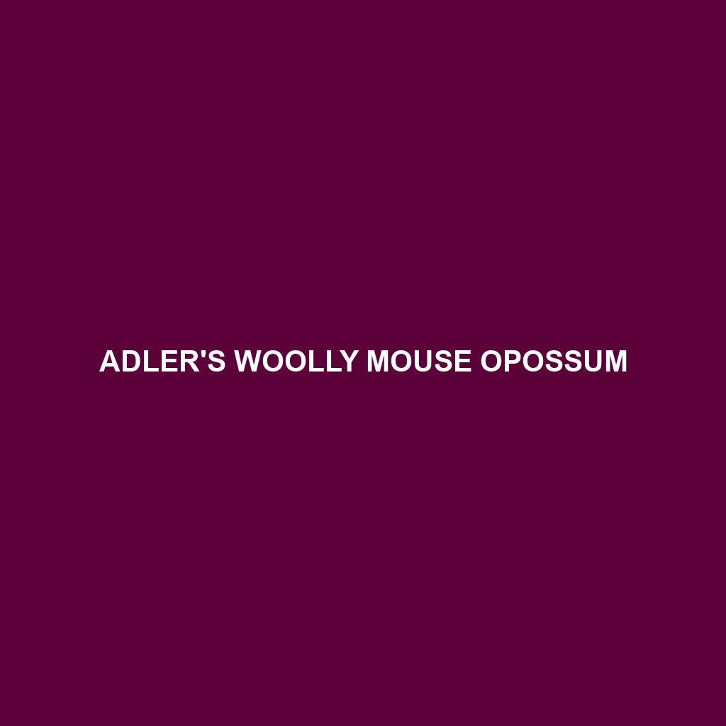 Adler's Woolly Mouse Opossum