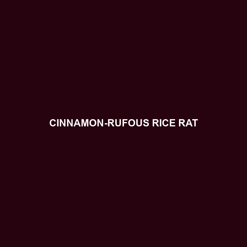 Cinnamon-rufous Rice Rat