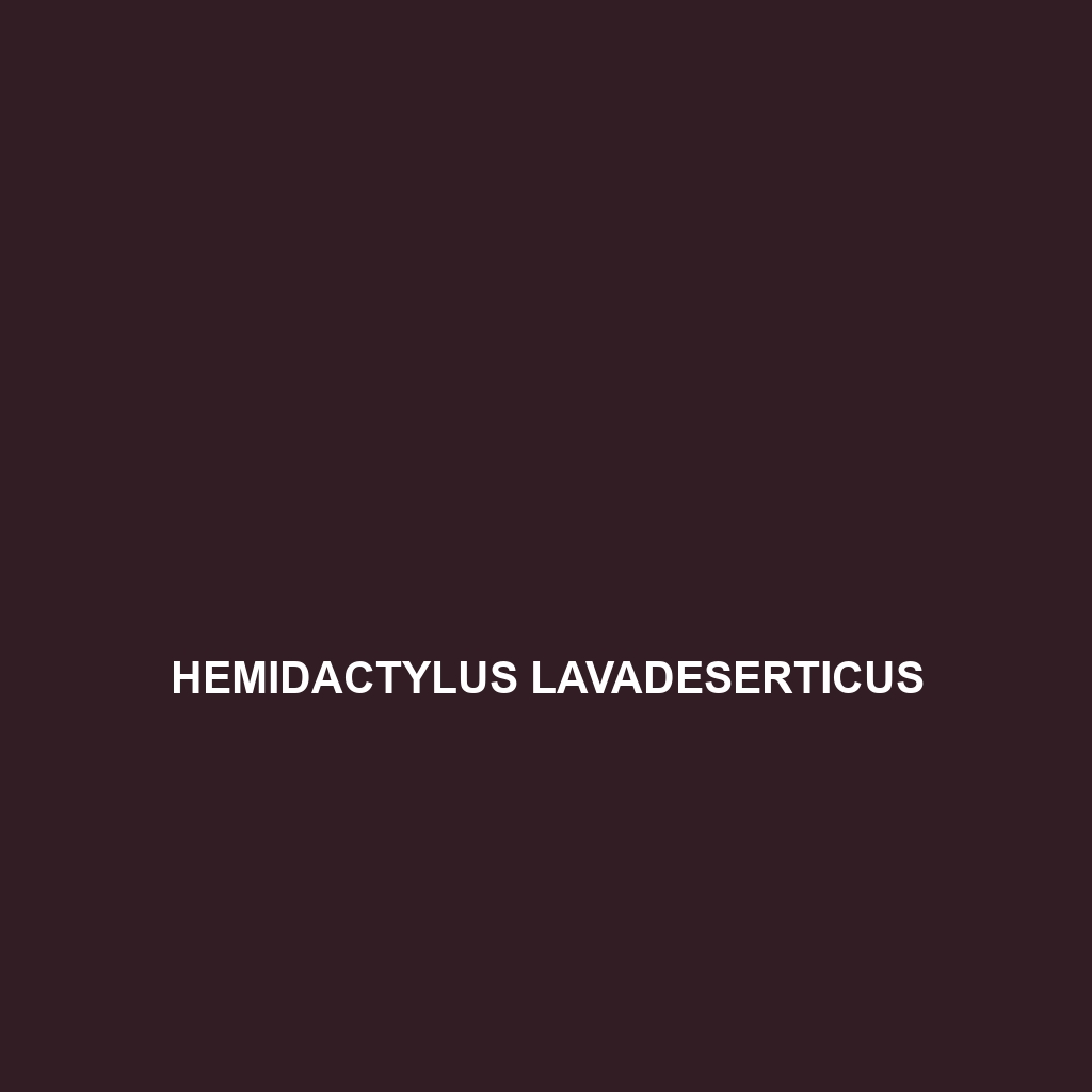 Hemidactylus lavadeserticus