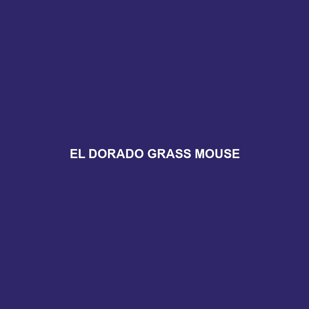 El Dorado Grass Mouse