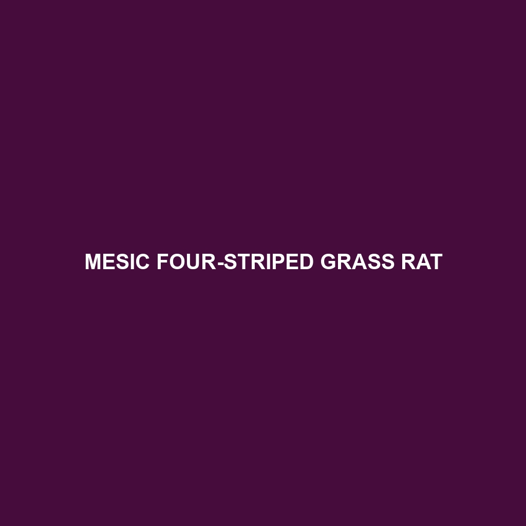 Mesic Four-striped Grass Rat