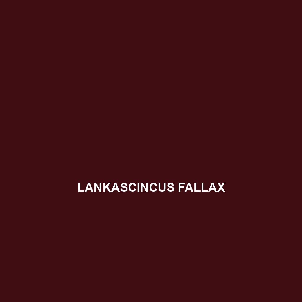 Lankascincus fallax