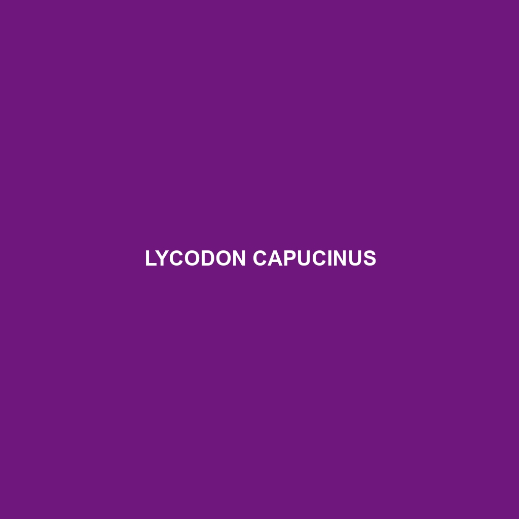 Lycodon capucinus