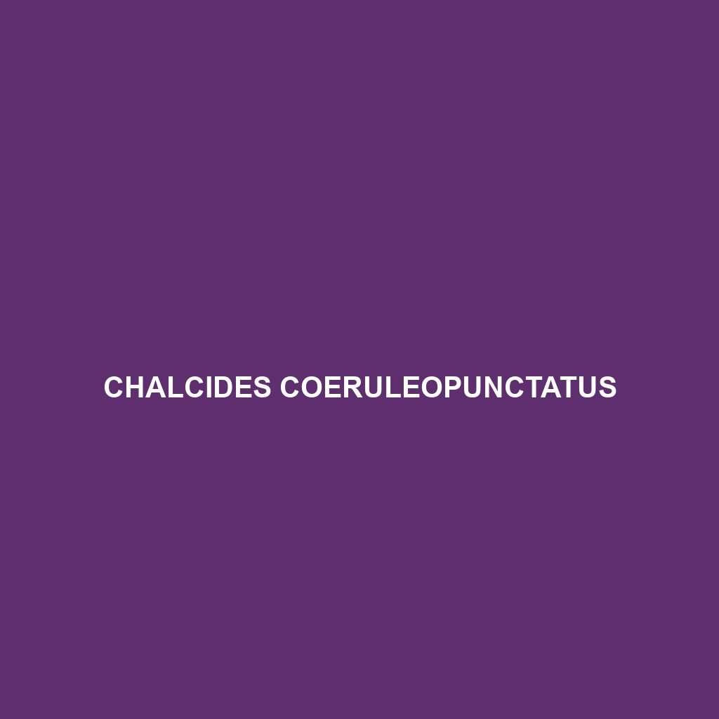 Chalcides chalcides