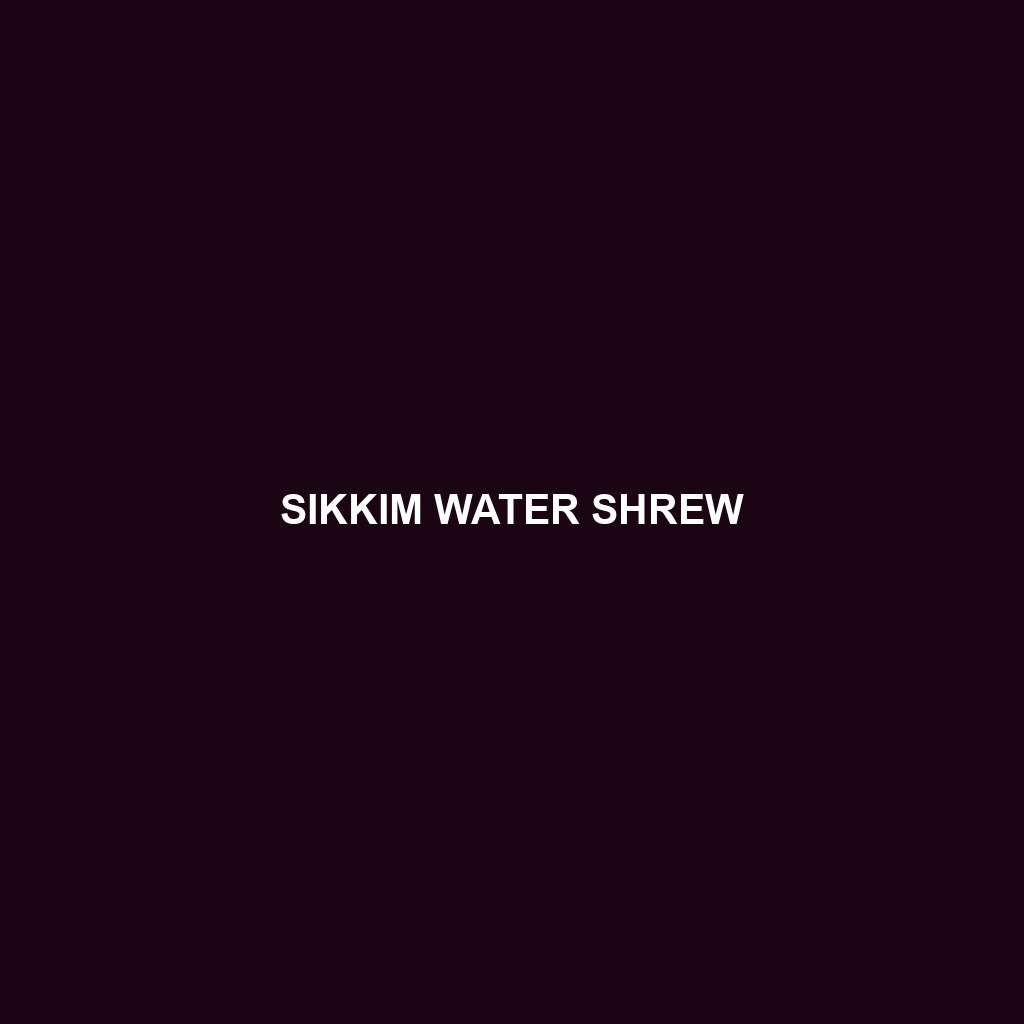 Sikkim Water Shrew