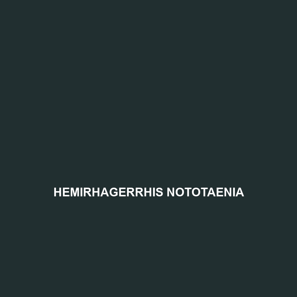 Hemirhagerrhis nototaenia