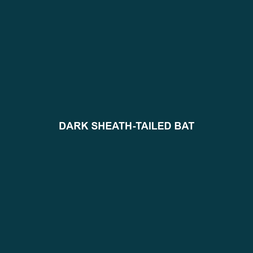 Dark Sheath-tailed Bat