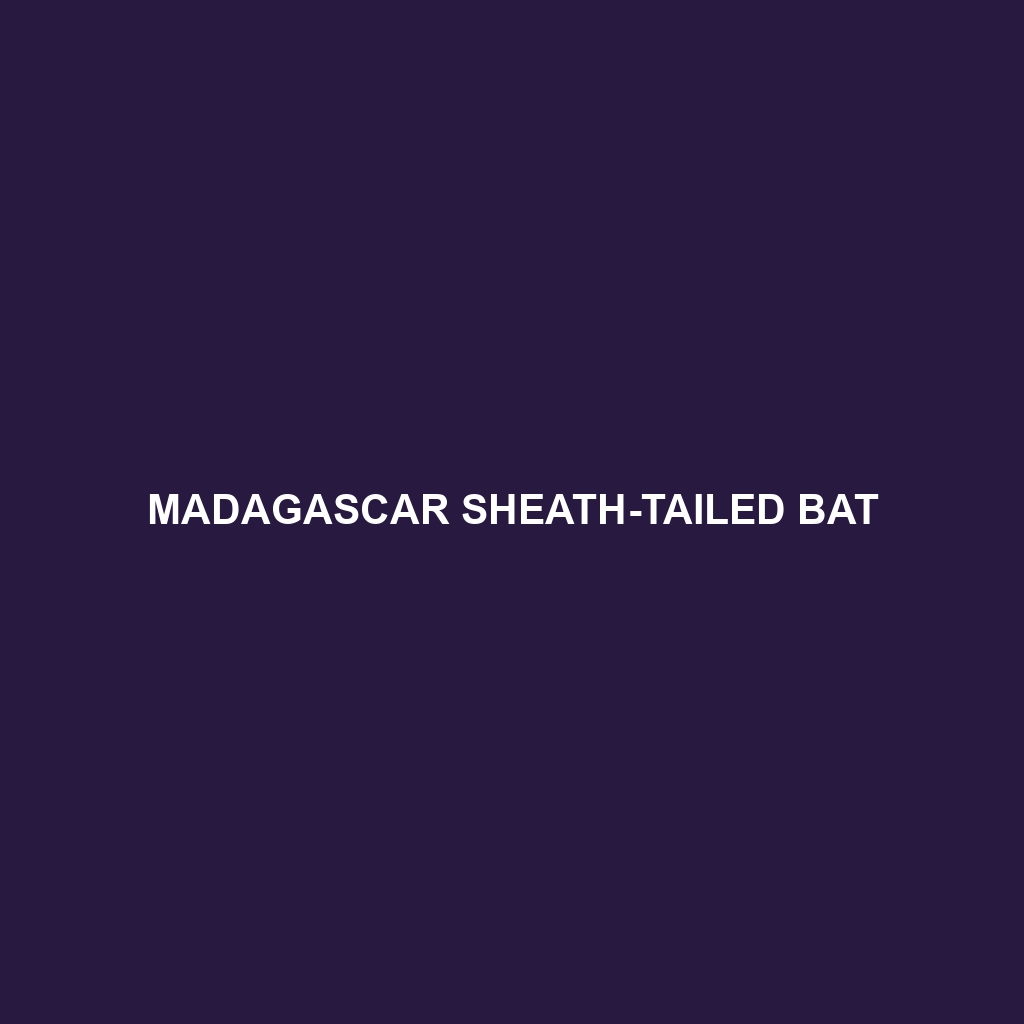 Seychelles Sheath-tailed Bat