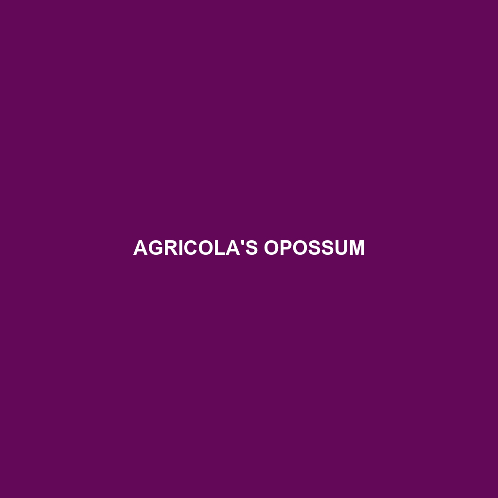 Agricola's Opossum