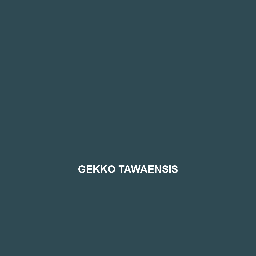 Gekko tawaensis