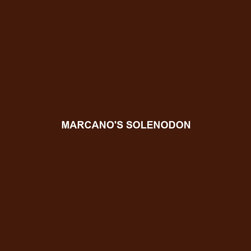 Marcano's Solenodon