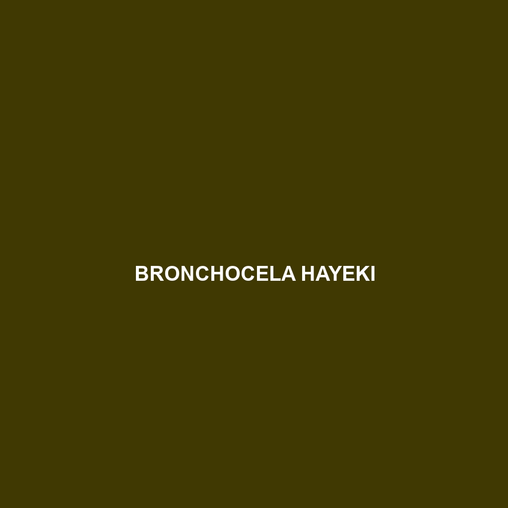 Bronchocela hayeki