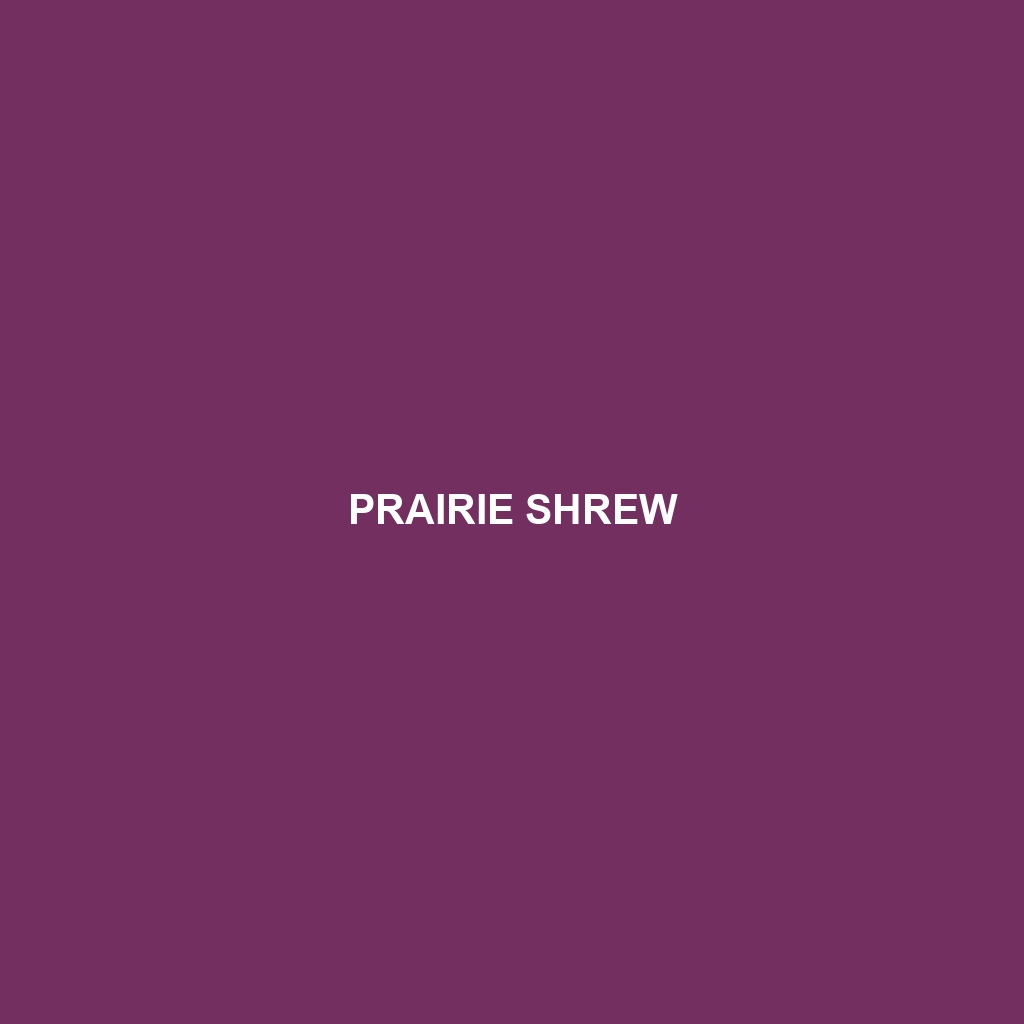 Prairie Shrew