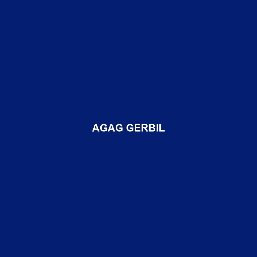 Agag Gerbil