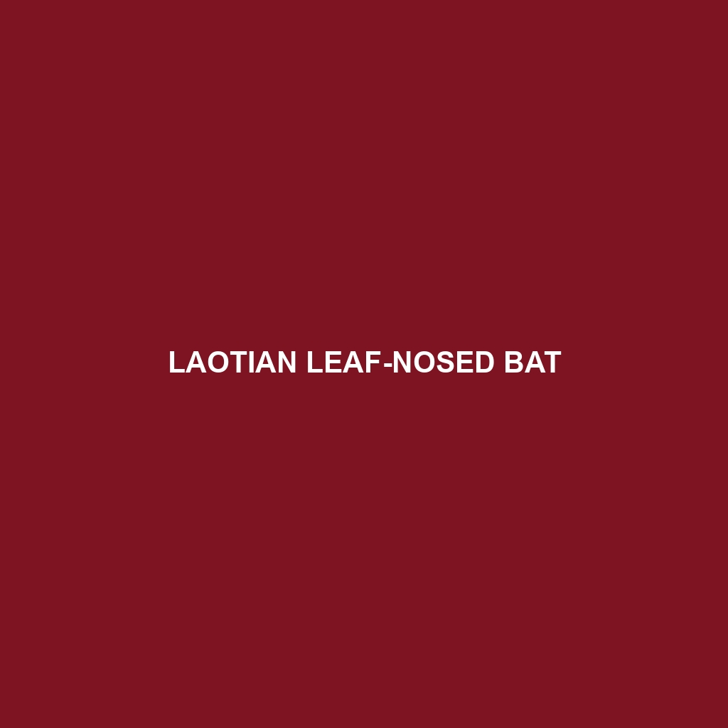 Laotian Leaf-nosed Bat