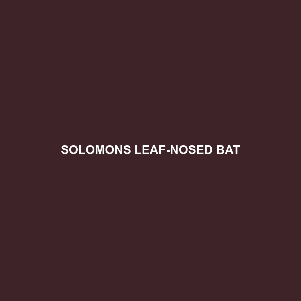 Solomons Leaf-nosed Bat