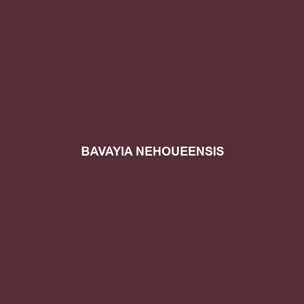 Bavayia nehoueensis