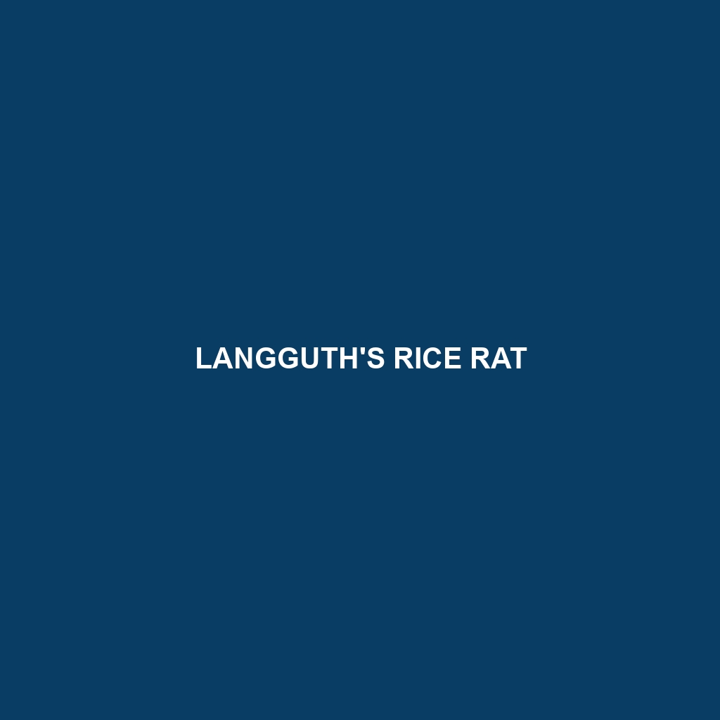 Langguth's Rice Rat