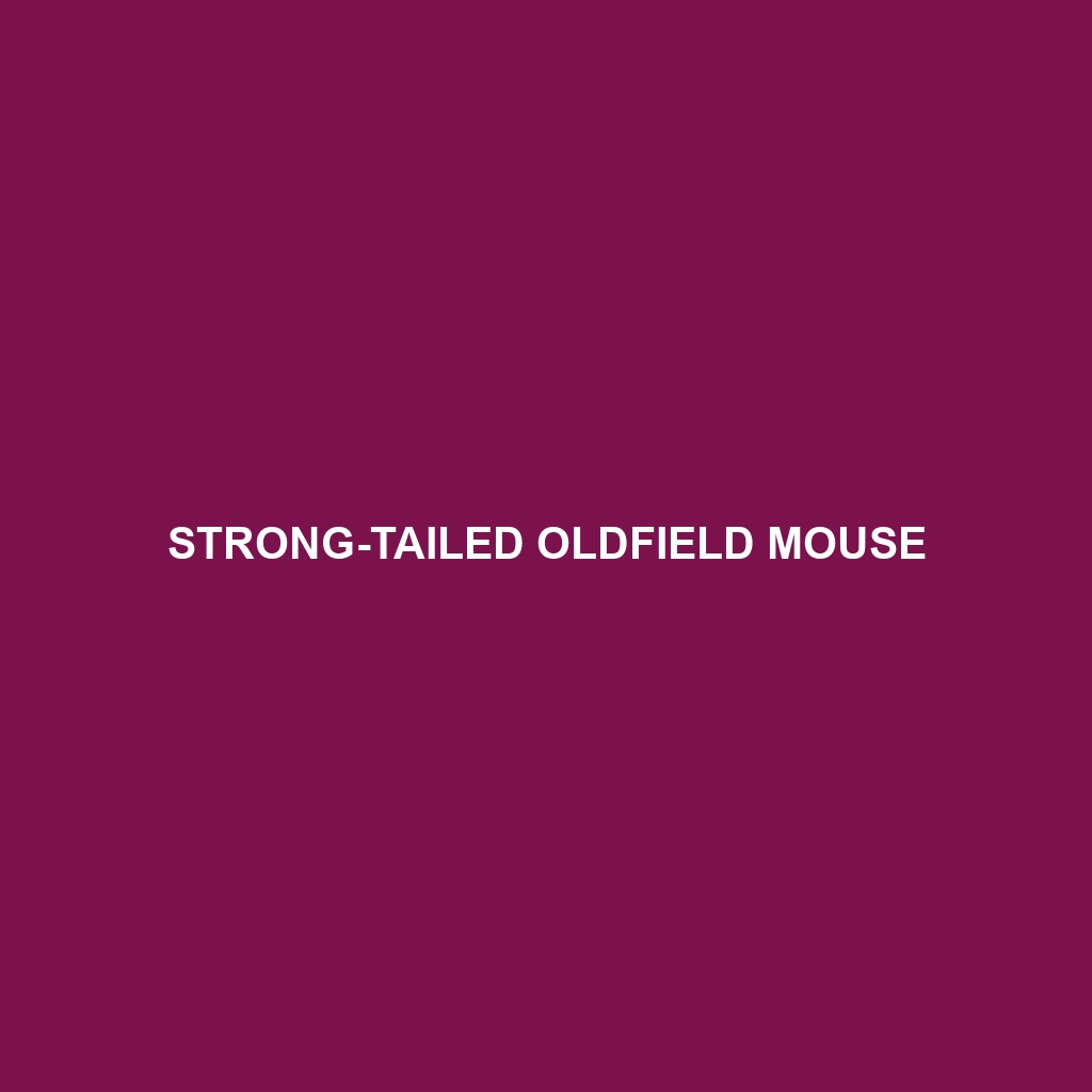 Strong-tailed Oldfield Mouse