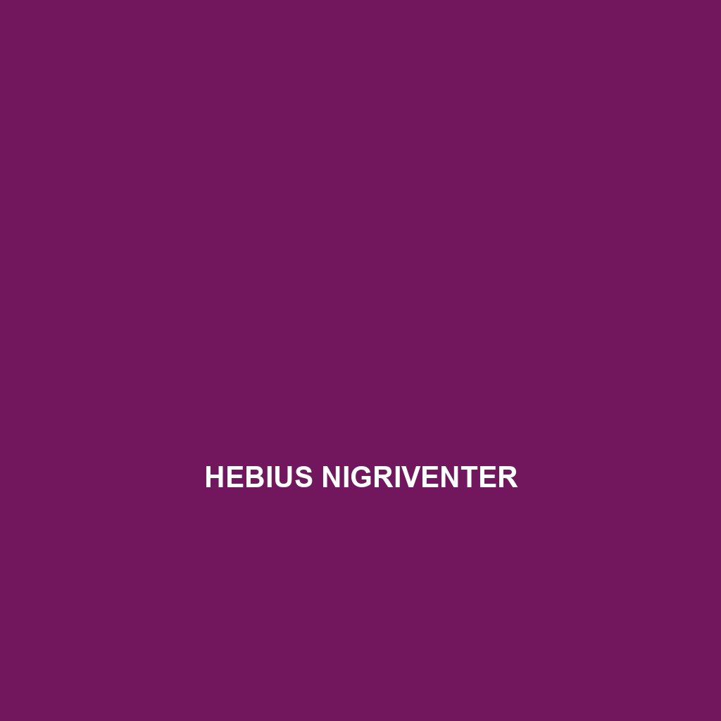 Hebius nigriventer