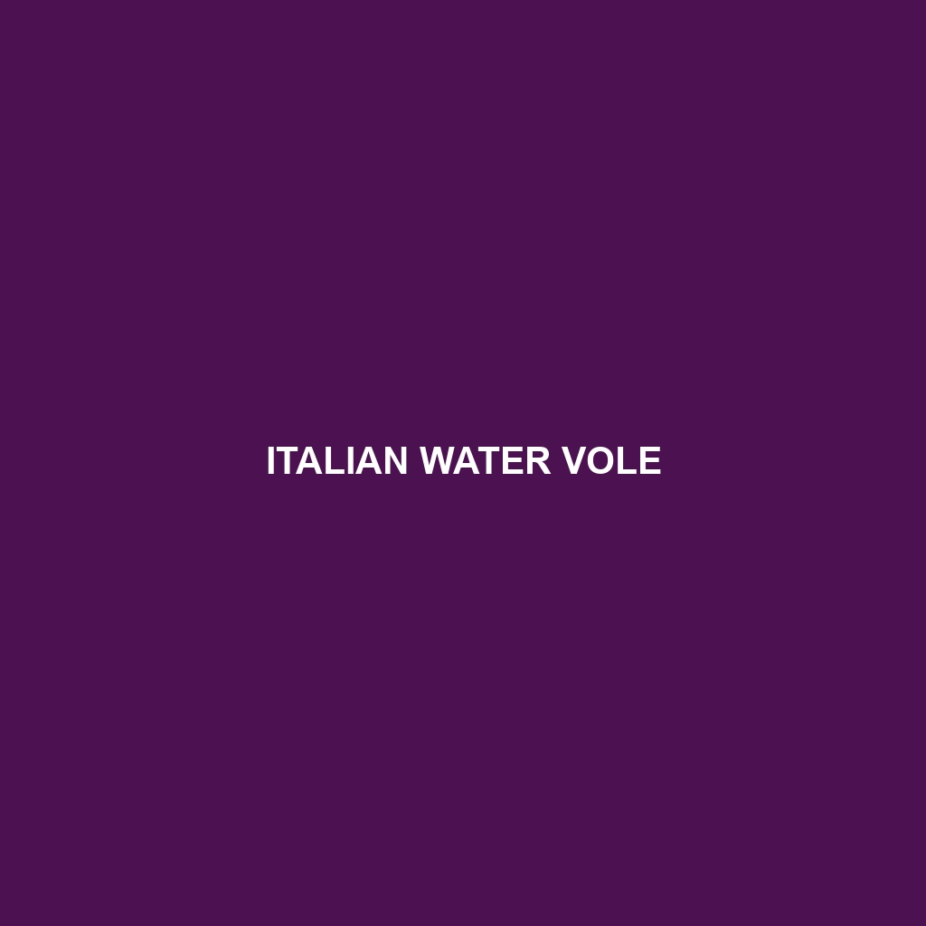 Italian Water Vole