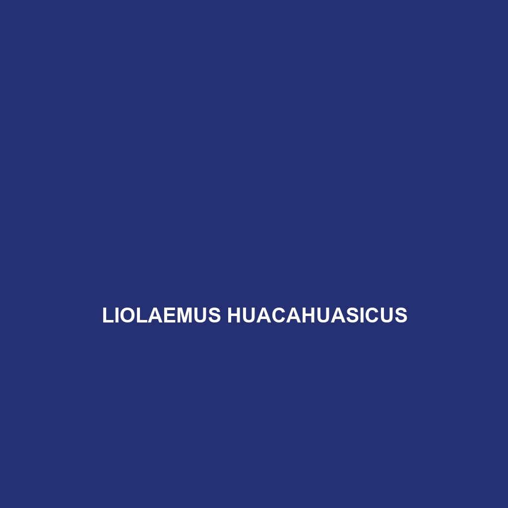 Liolaemus huacahuasicus