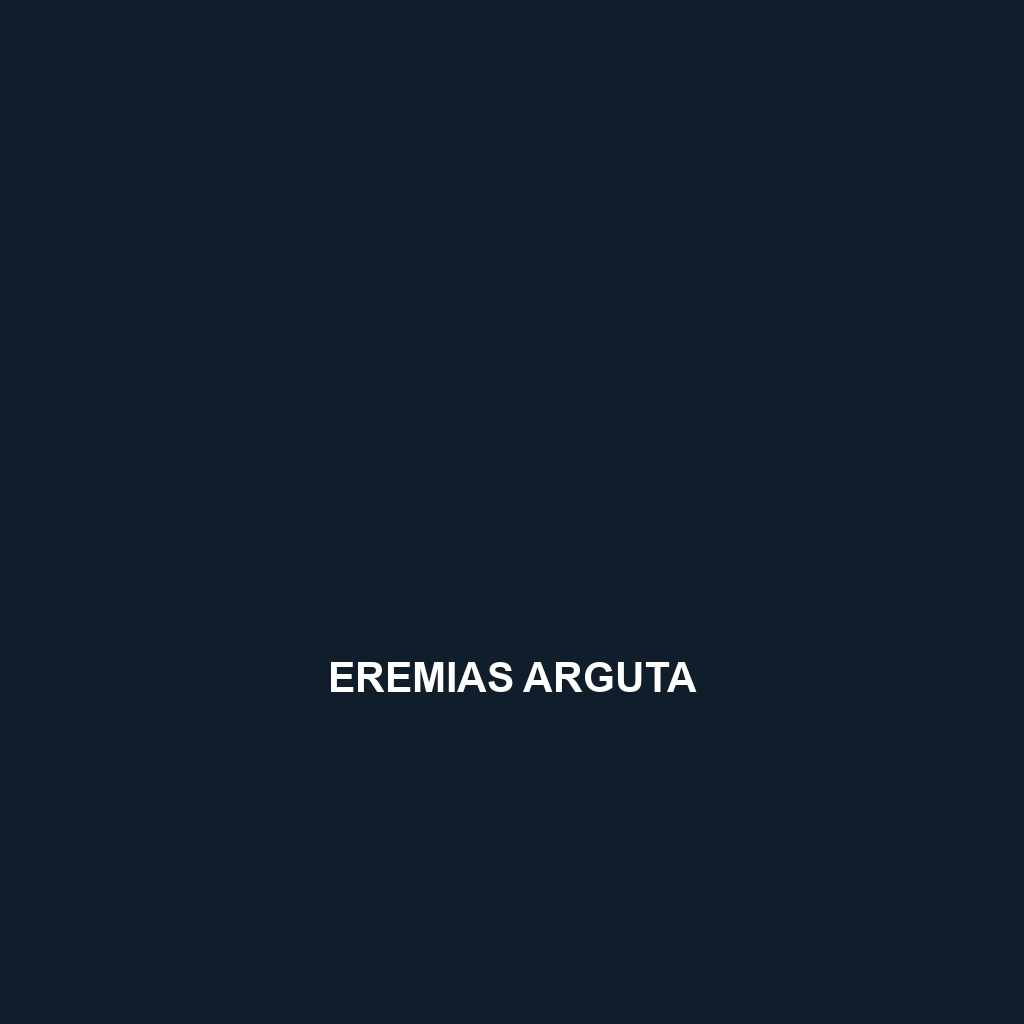 Eremias arguta