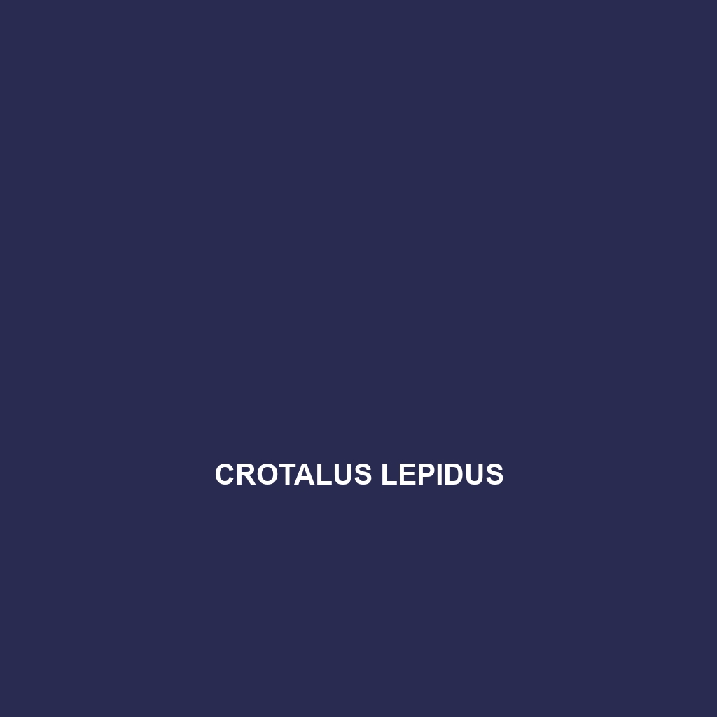 Crotalus lepidus