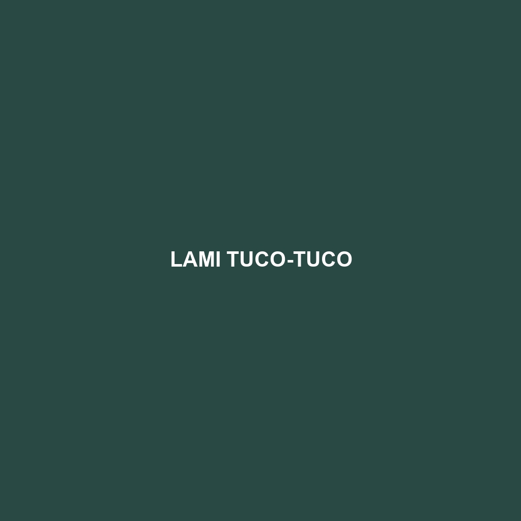 Lami Tuco-tuco