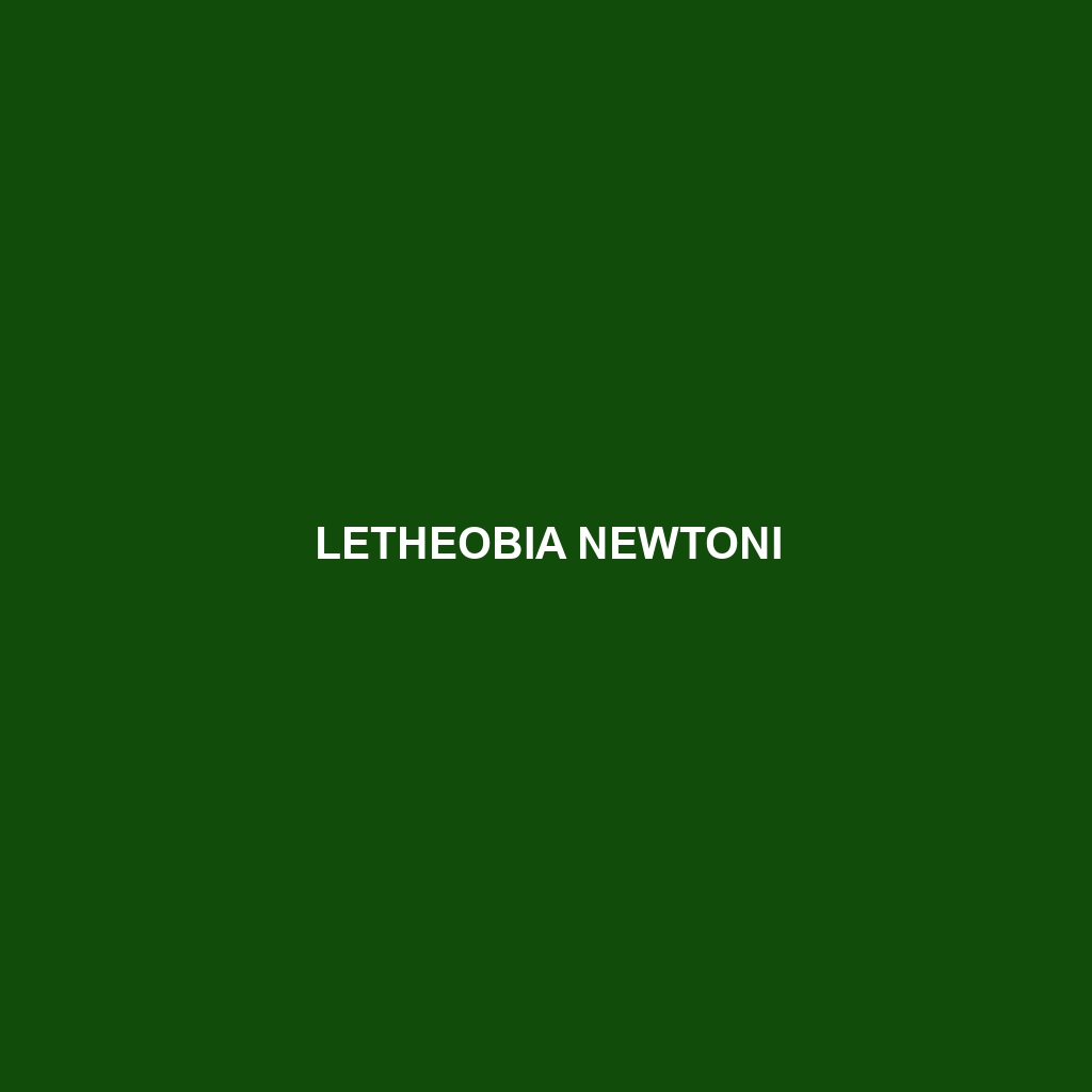 Letheobia newtoni