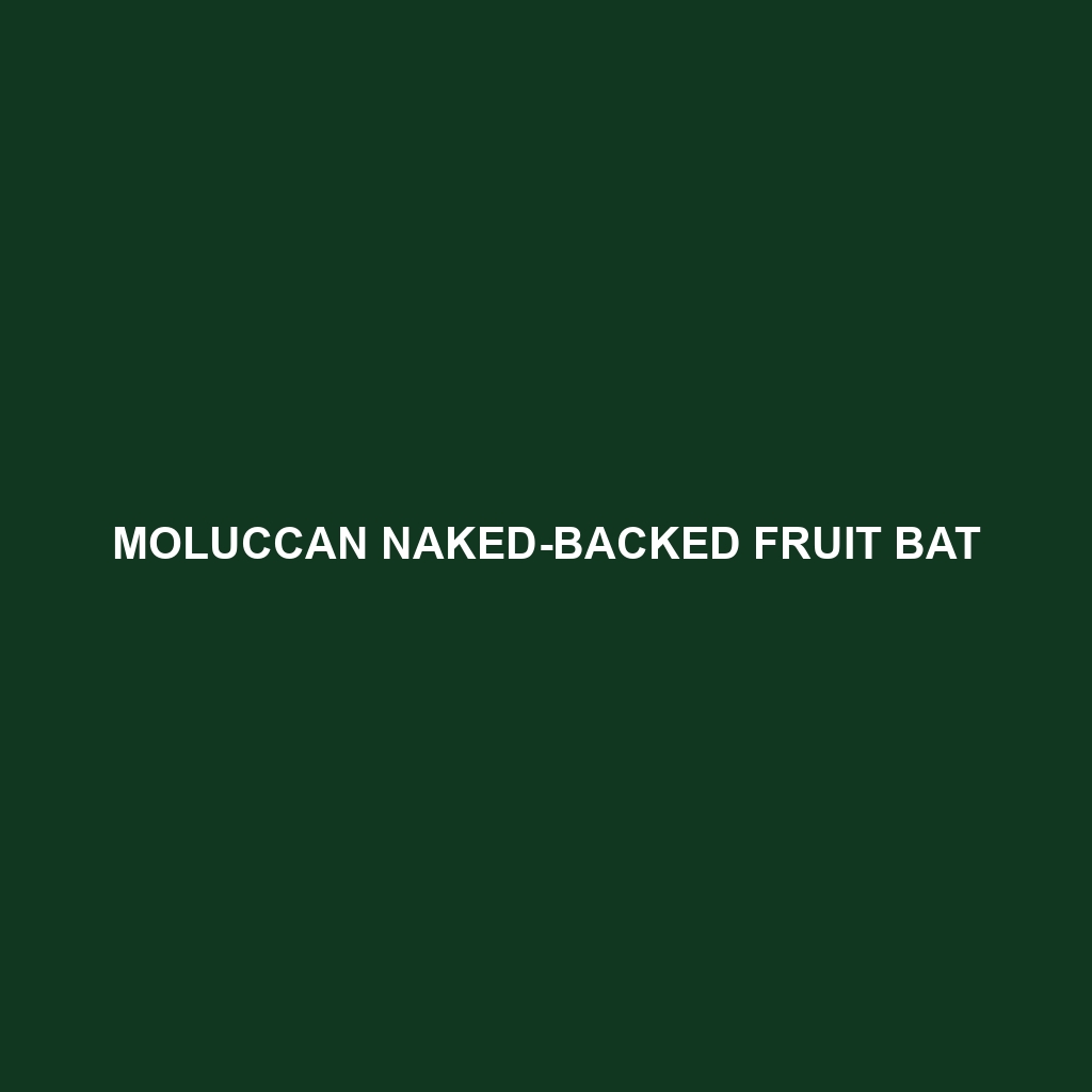 Moluccan Naked-backed Fruit Bat