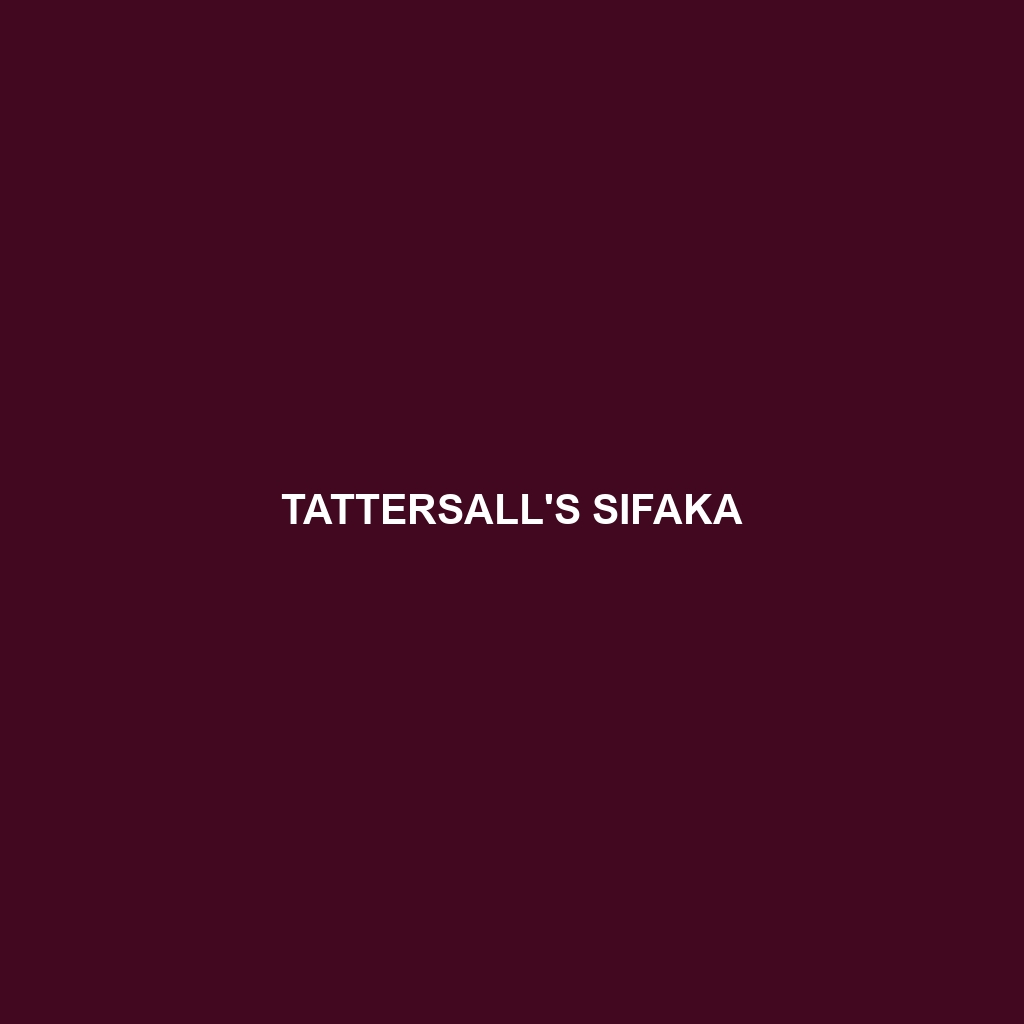 Tattersall's Sifaka