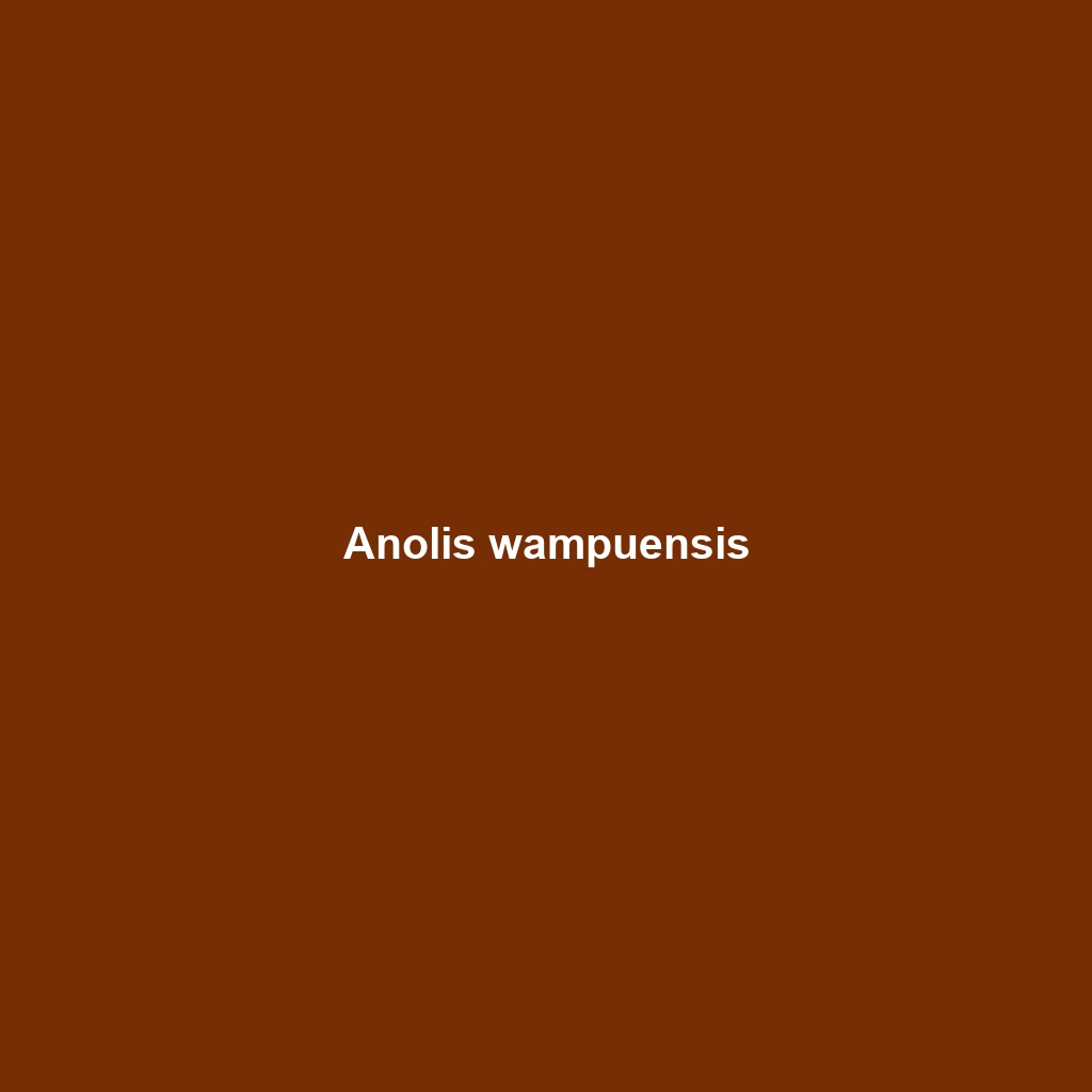 Anolis wampuensis