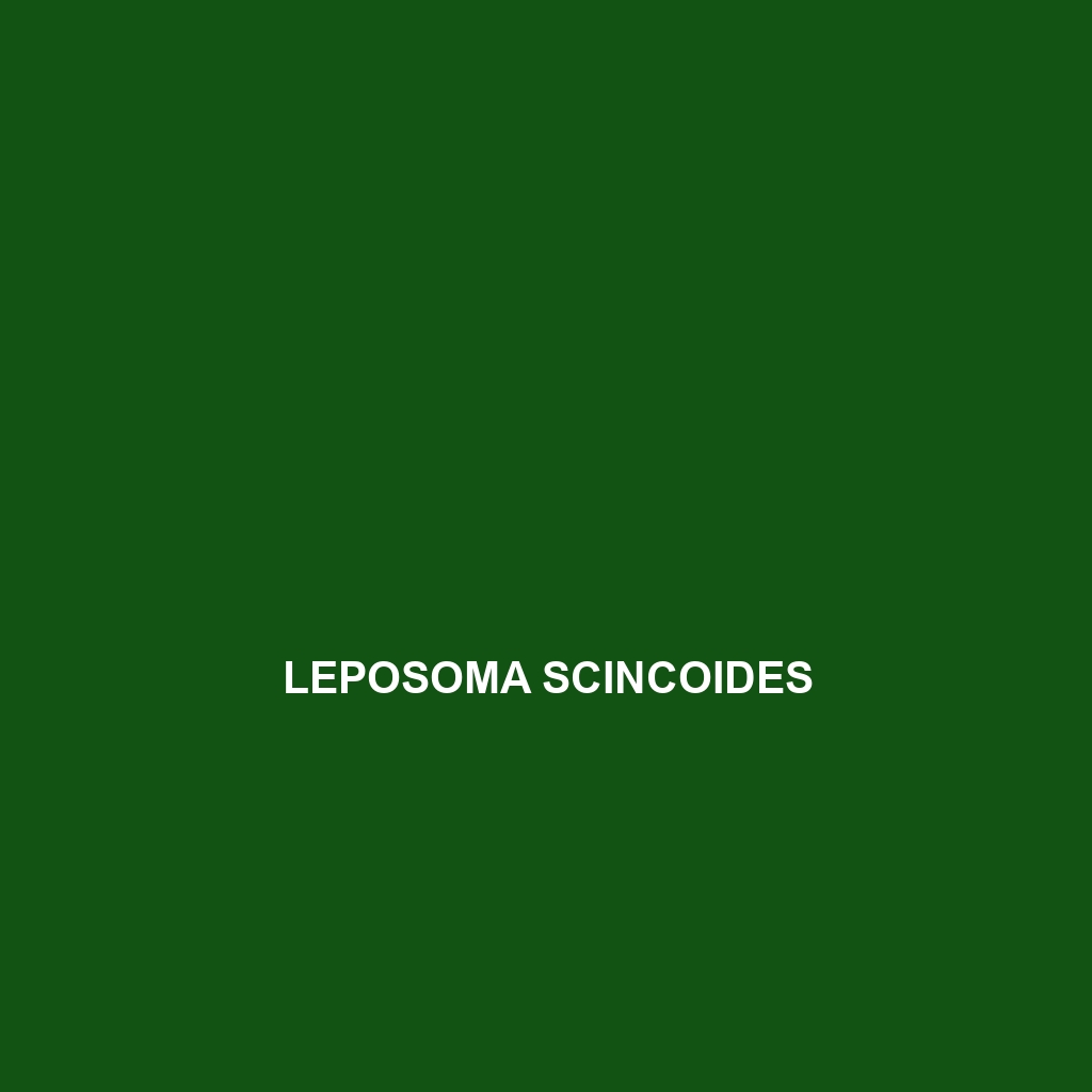 Leposoma scincoides