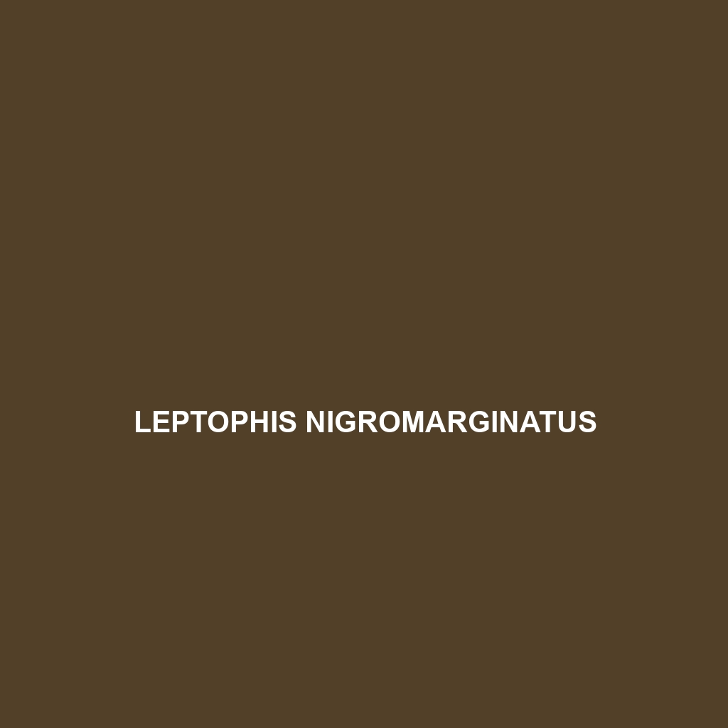 Leptophis nebulosus