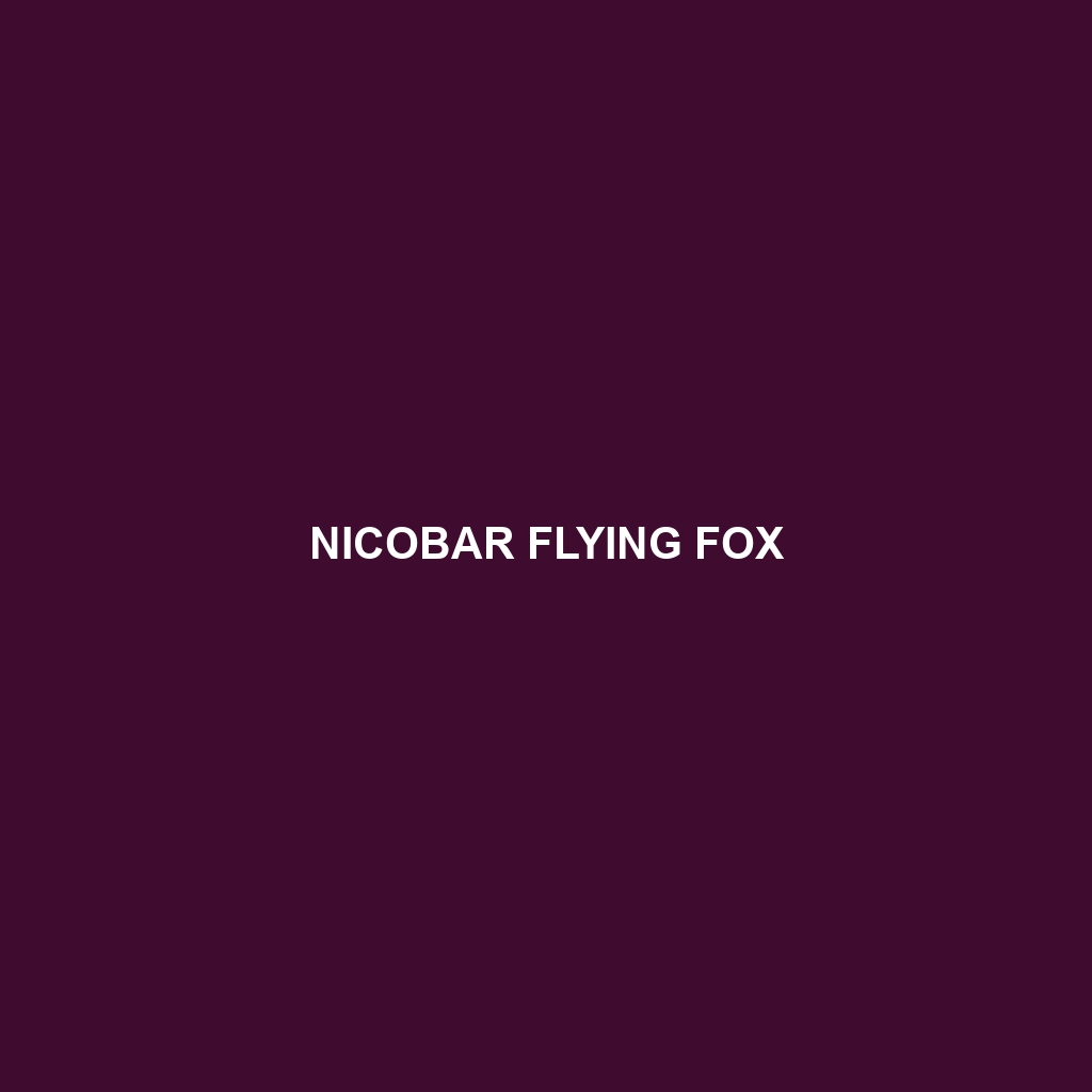 Nicobar Flying Fox