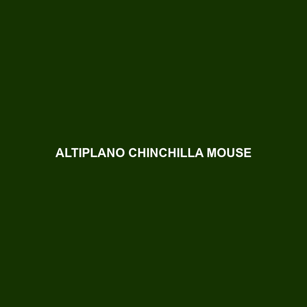 Altiplano Chinchilla Mouse