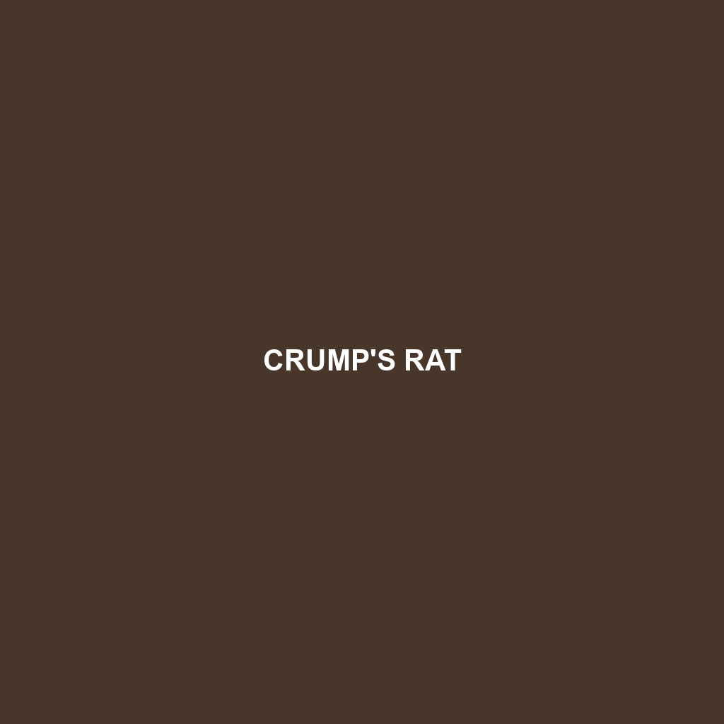 Crump's Rat