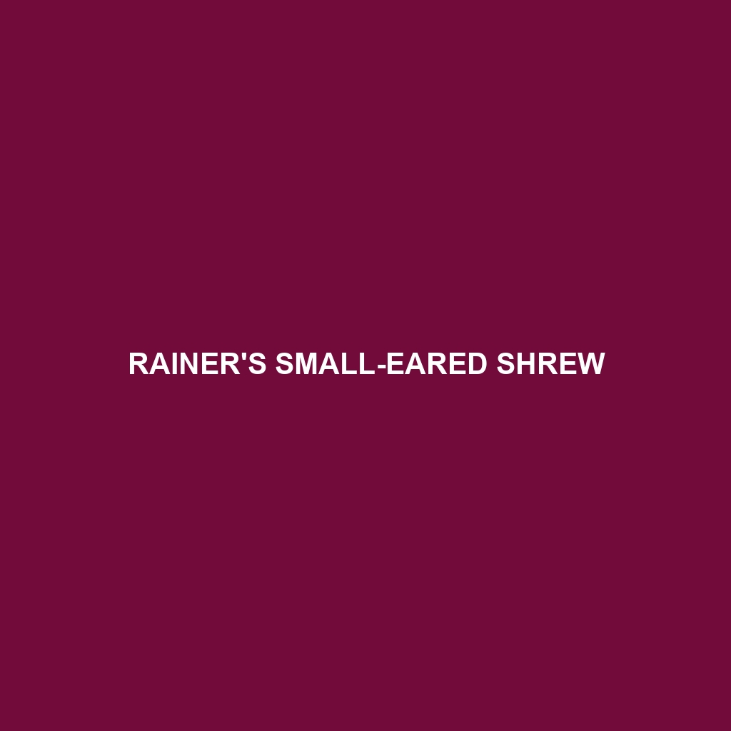 Rainer's Small-eared Shrew