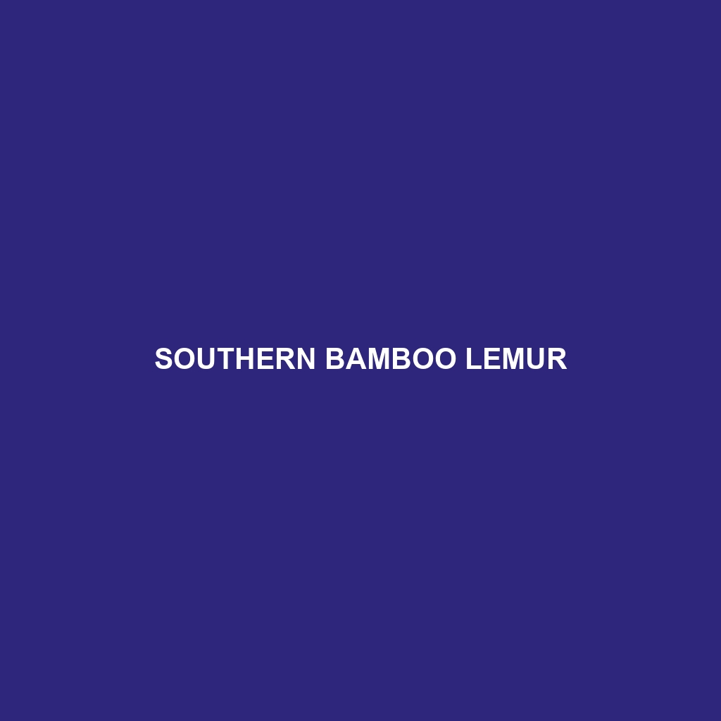 Southern Bamboo Lemur