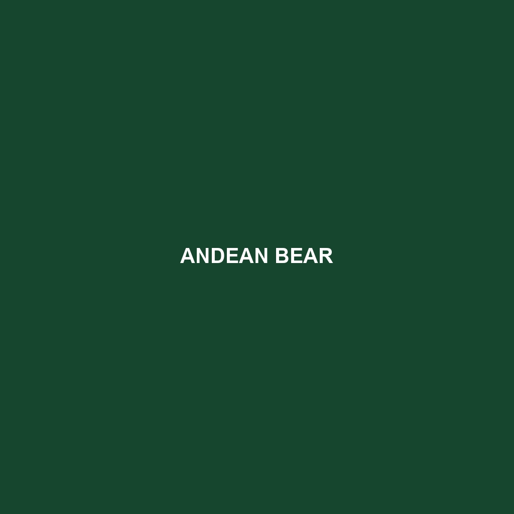 Andean Bear