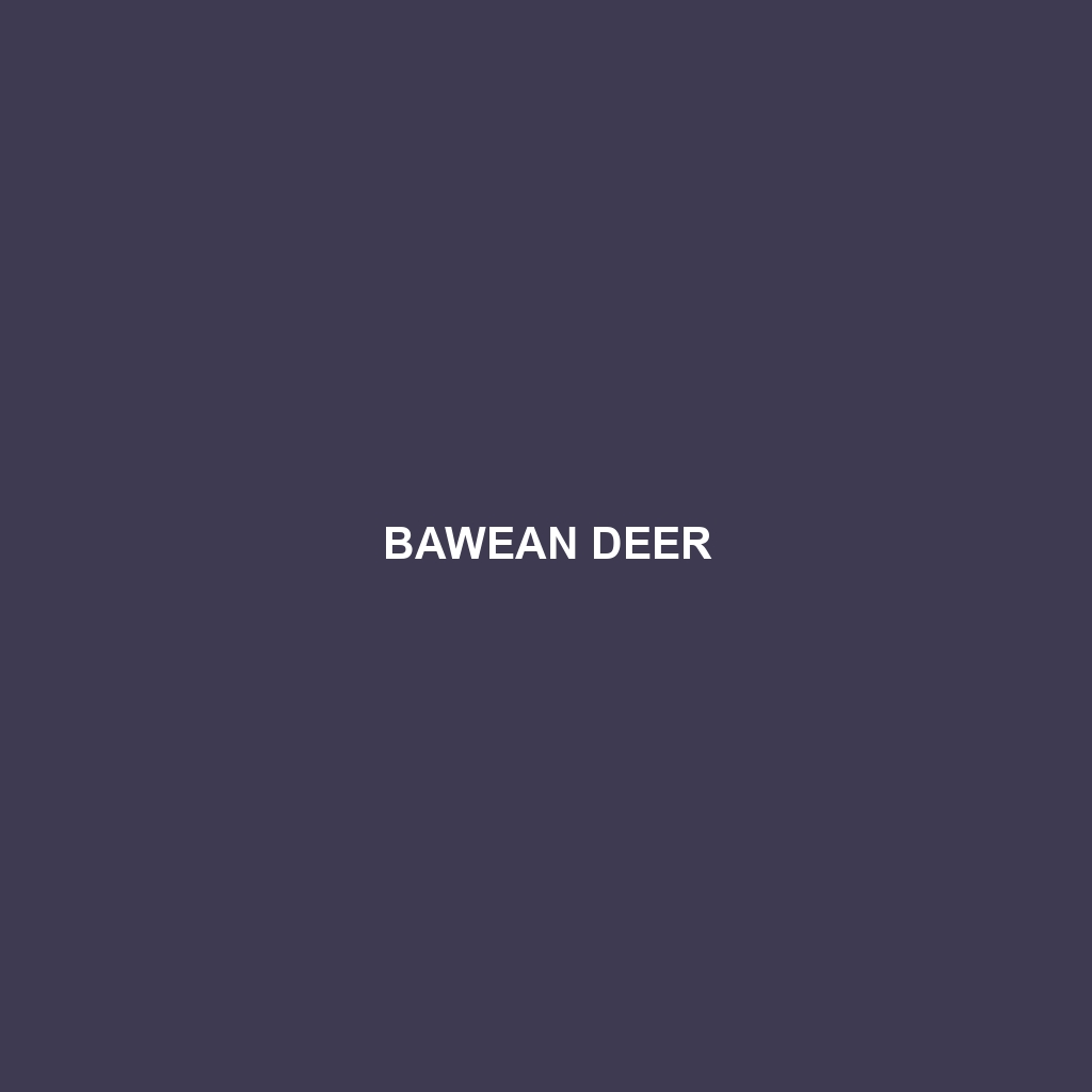 Bawean Deer