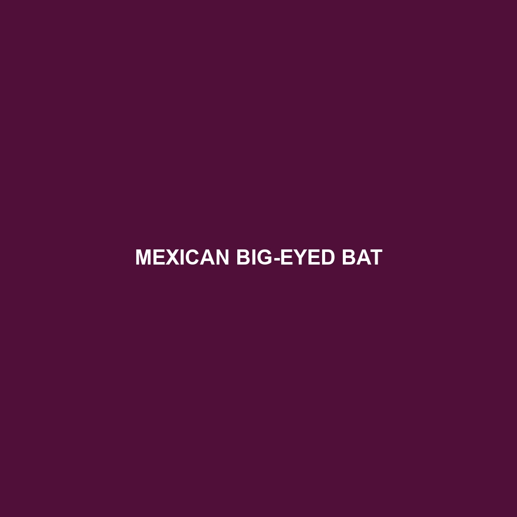 Mexican Big-eyed Bat