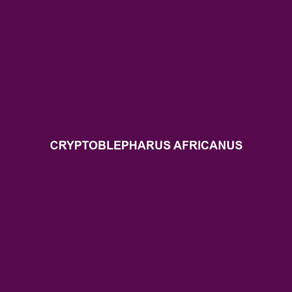 Cryptoblepharus africanus