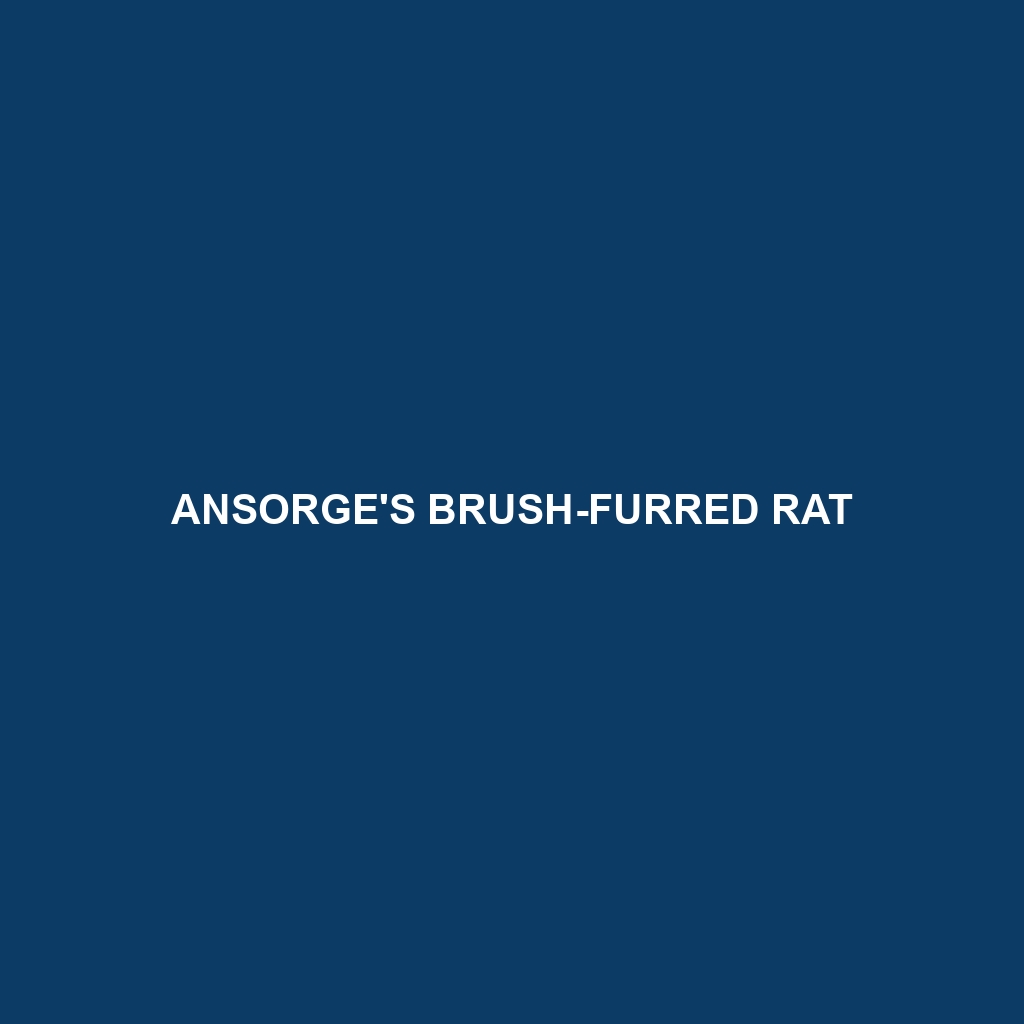 Ansorge's Brush-furred Rat