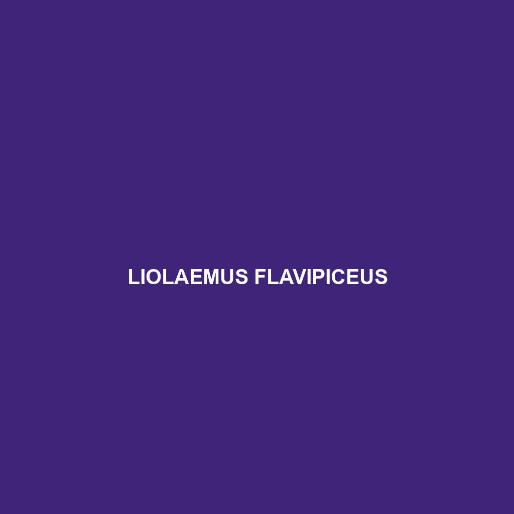 Liolaemus flavipiceus