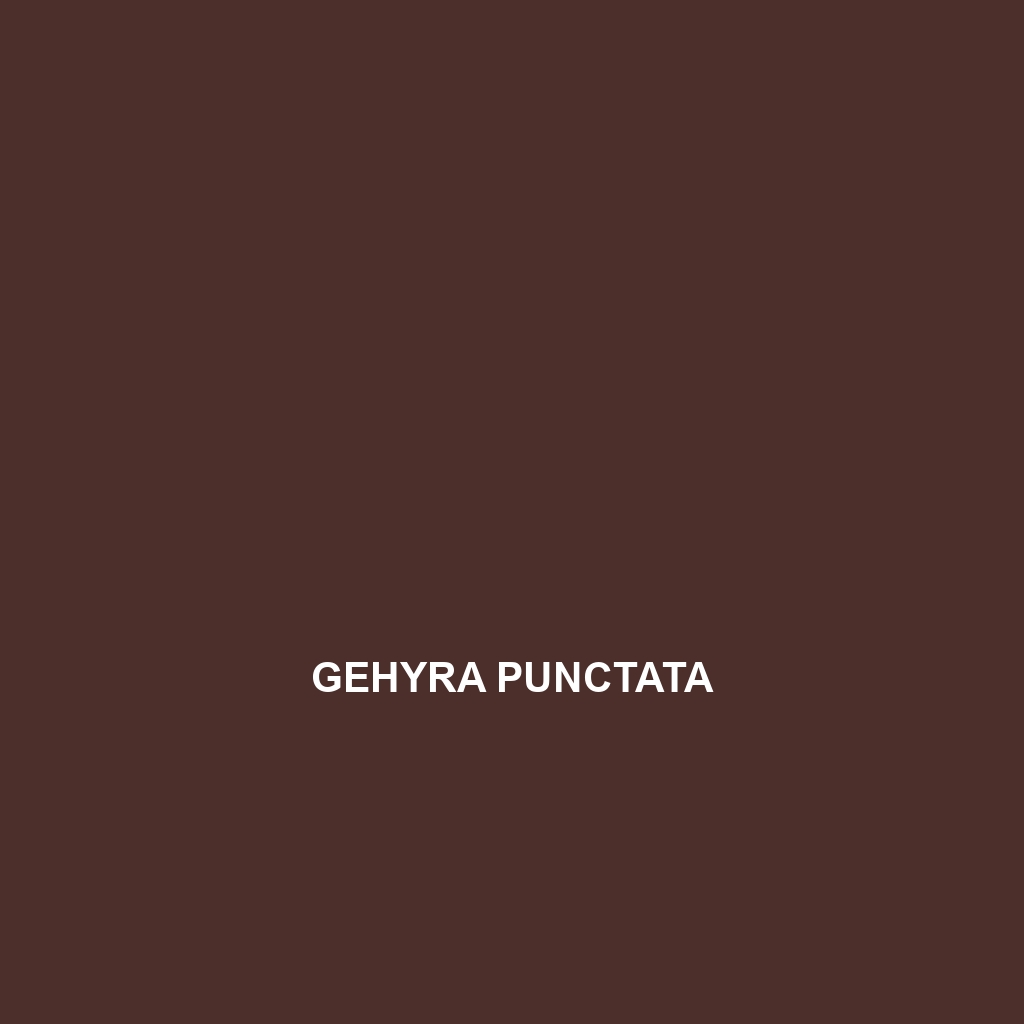 Gehyra punctata