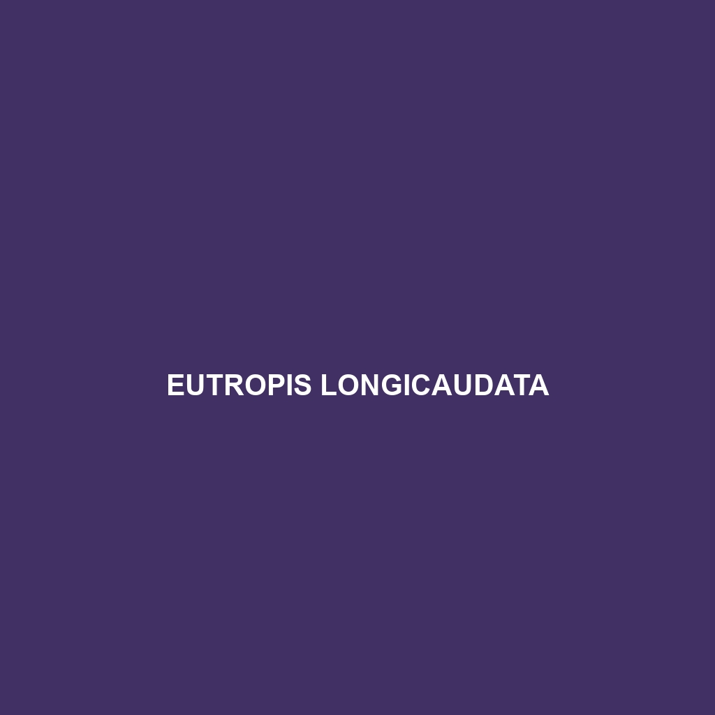 Eutropis longicaudata