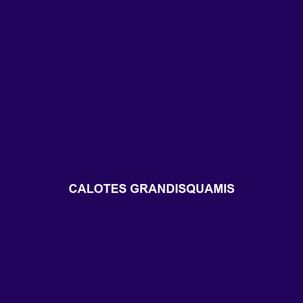 Calotes grandisquamis