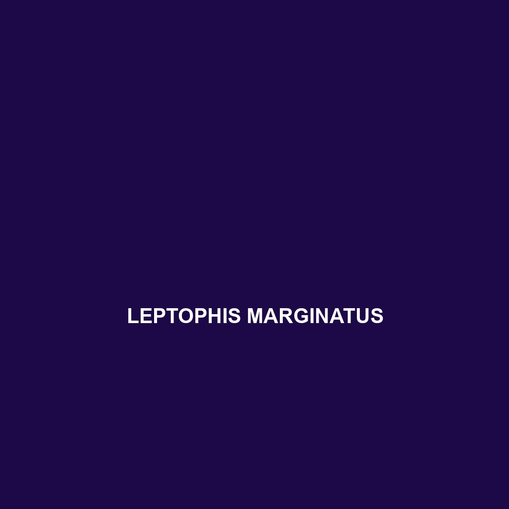 Leptophis marginatus